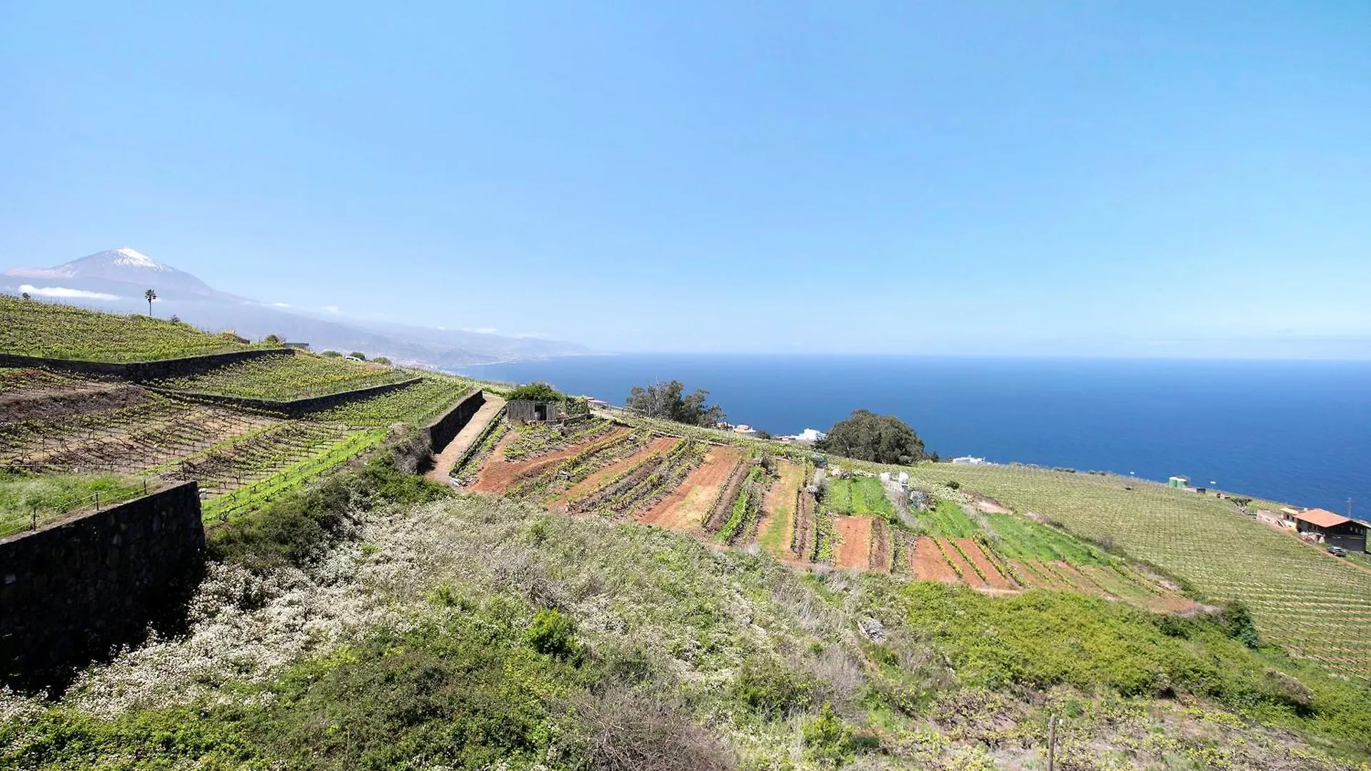 Villa Spr Finca El El Sauzal